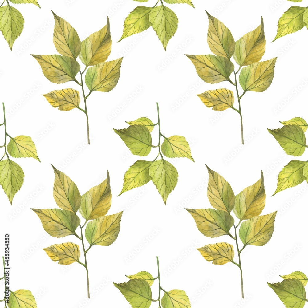 Autumn leaves in watercolor style. A beautiful seamless pattern with various autumn leaves Can be used as a background template for wallpaper, printing on fabrics, typography, paper. Autumn leaves in watercolor style. A beautiful seamless pattern with various autumn leaves Can be used as a background template for wallpaper, printing on fabrics, typography, paper.