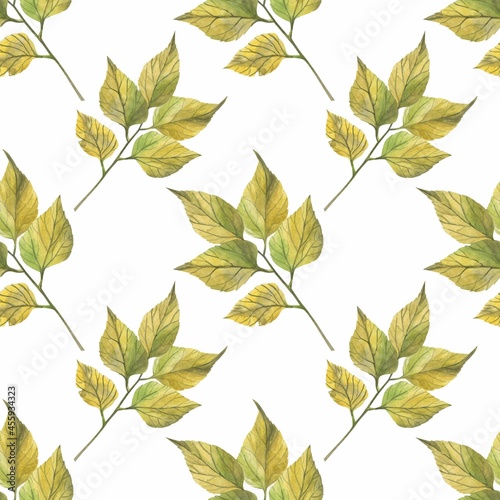 Autumn leaves in watercolor style. A beautiful seamless pattern with various autumn leaves Can be used as a background template for wallpaper, printing on fabrics, typography, paper.