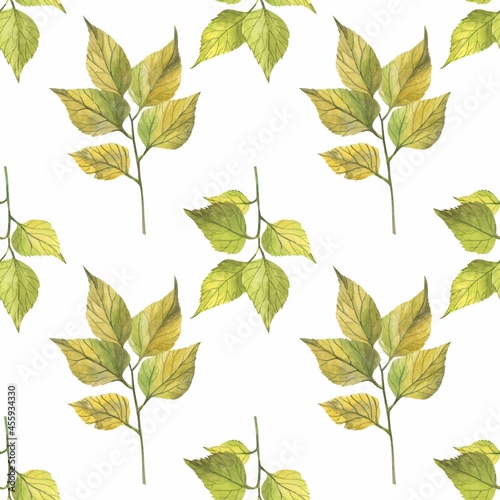 Autumn leaves in watercolor style. A beautiful seamless pattern with various autumn leaves Can be used as a background template for wallpaper, printing on fabrics, typography, paper.