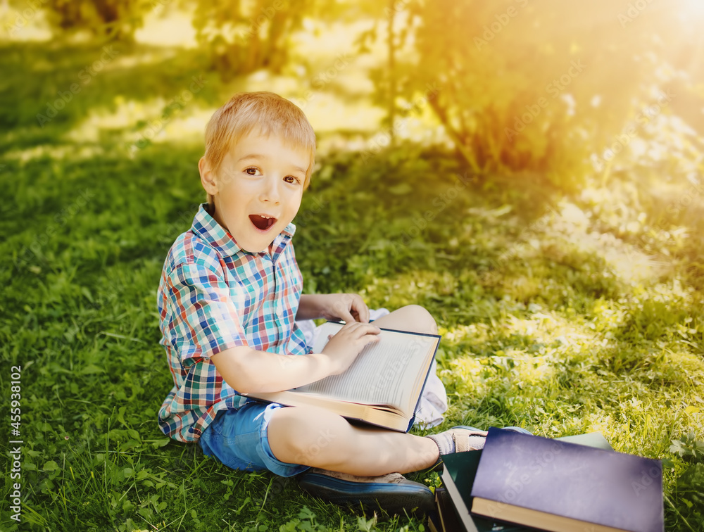 Little boy sitting on the meadow and reading a book. Little boy sitting on the meadow and reading a book.
