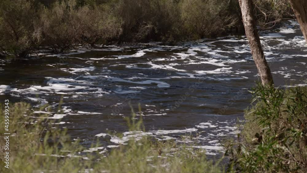 Site and sound of wild Blackwood River in flood. Far bank inundated with white foamy water Site and sound of wild Blackwood River in flood. Far bank inundated with white foamy water