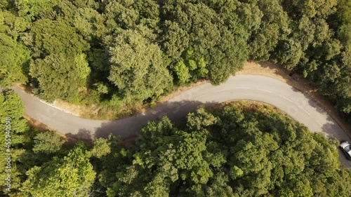 voiture sur une route sinueuse dans la forêt photo