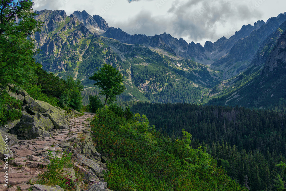 Beautiful summer landscape of High Tatras, Slovakia – famous track to Poprad Lake – stone footpath over the cliff, lush forest, mountains and clouds on the sky