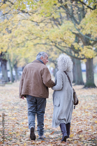 Affectionate senior couple holding hands, walking among trees and leaves in autumn park