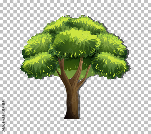 A tree isolated on transparent background