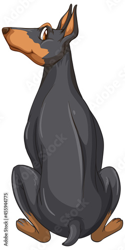 Doberman pinscher dog cartoon on white background