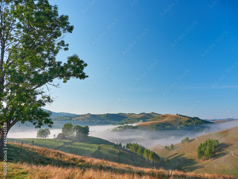 landscape with fog in the mountains