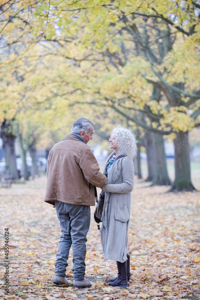 Affectionate senior couple holding hands, walking among trees and leaves in autumn park Affectionate senior couple holding hands, walking among trees and leaves in autumn park