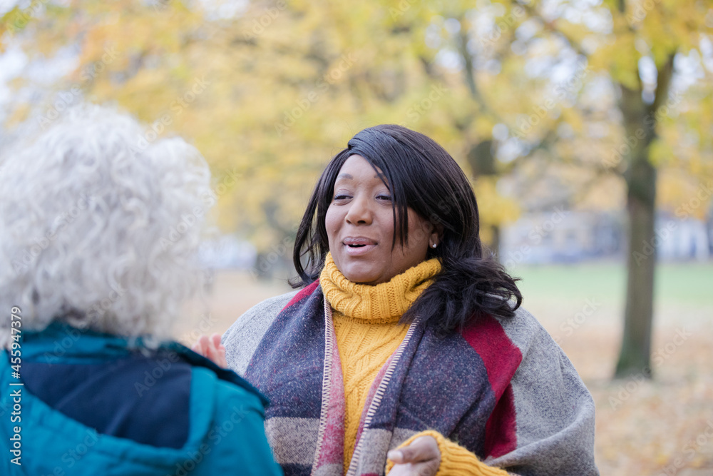 Enthusiastic senior women friends talking and smiling in autumn park Enthusiastic senior women friends talking and smiling in autumn park