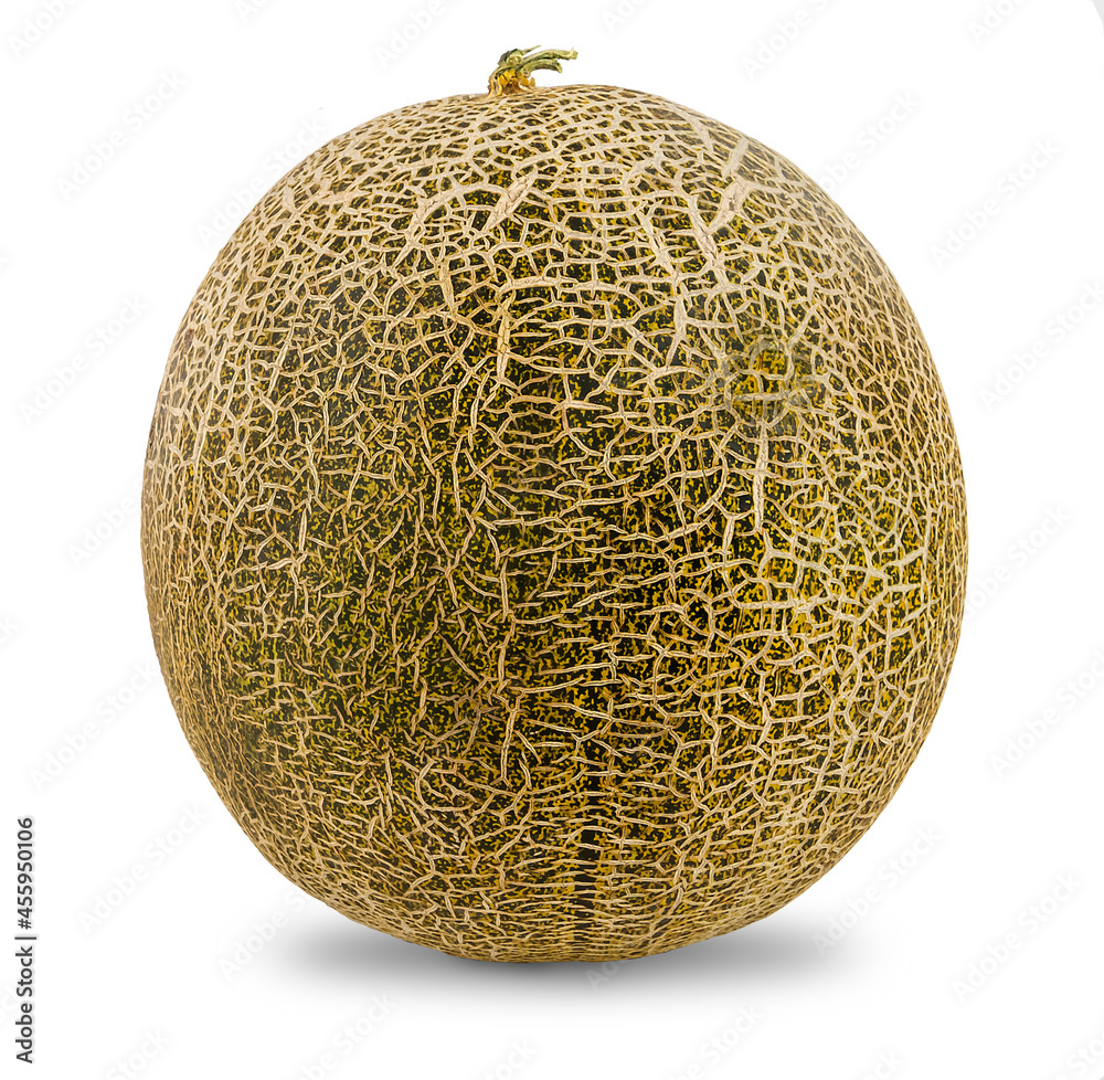 melon is a sweet fragrant fruit with a yellow thin skin and honey pulp melon is a sweet fragrant fruit with a yellow thin skin and honey pulp