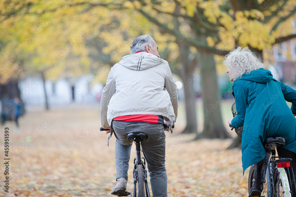 Fototapeta premium Senior couple bike riding among trees and leaves in autumn park
