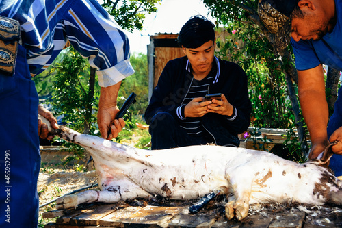 Canvas Print Midsection of grandfather and grandson cutting pig while brother using smartphon