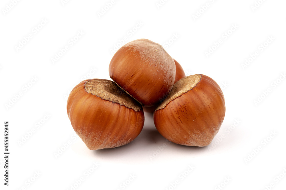 Group of hazelnuts, isolated on white background Group of hazelnuts, isolated on white background