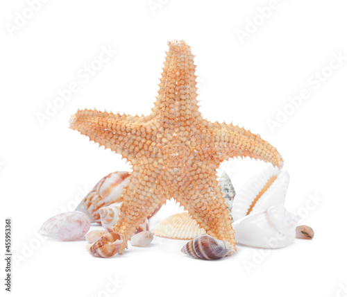 Beautiful sea star and seashells on white background