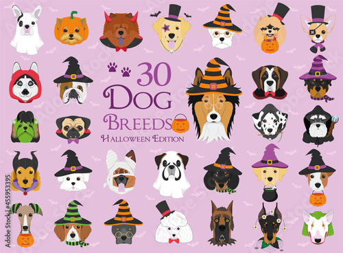 Set of 30 dog breeds with Halloween costumes