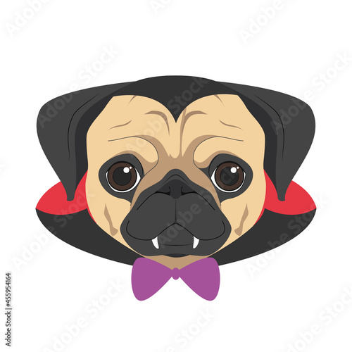 Halloween greeting card. Pug dog dressed as a vampire with fangs, bow tie and cape