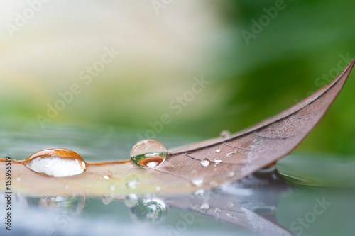 water drops on a leaf, purity nature background, macro shot.