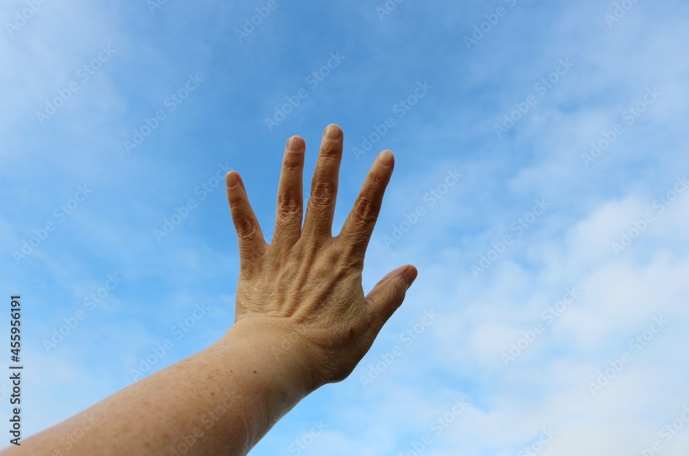 空 手 女性 シニア 空 手 女性 シニア