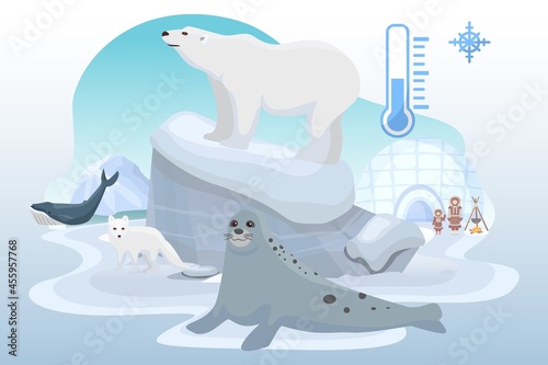 Northern pole cold place wild animal bear, ocean seal, arctic fox beast, alaska citizen flat vector illustration, isolated on white.