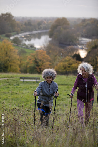 Active senior women friends with walking sticks in autumn park