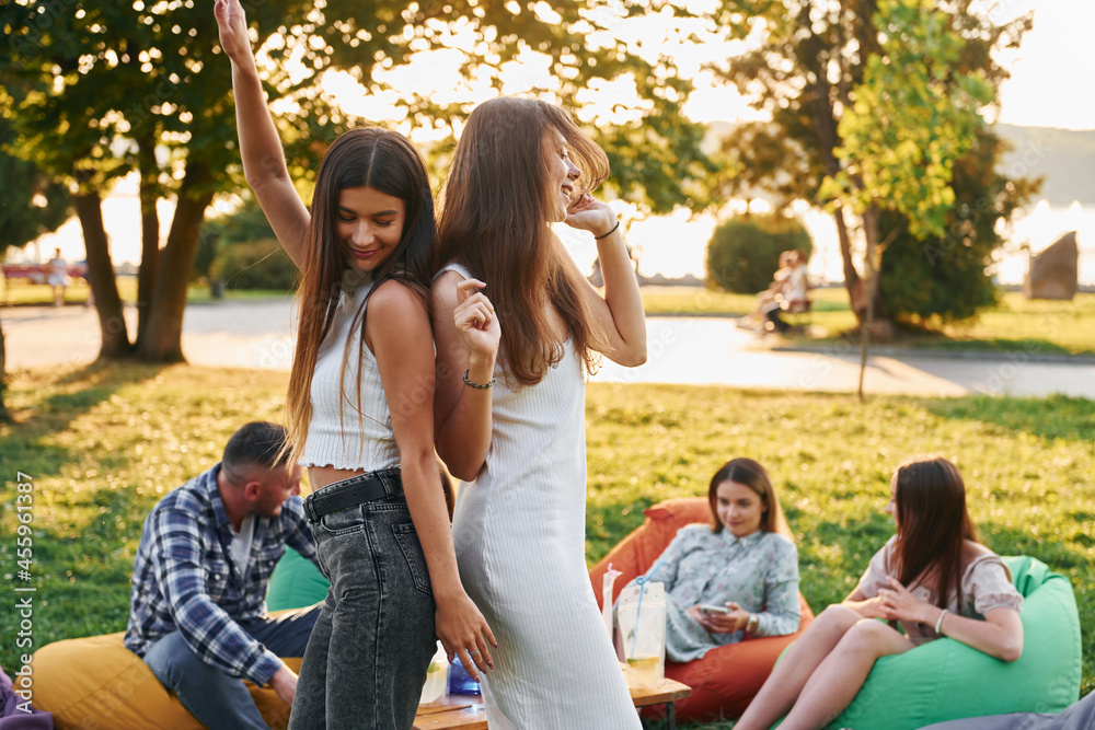 Women posing for the camera. Group of young people have a party in the park at summer daytime Women posing for the camera. Group of young people have a party in the park at summer daytime