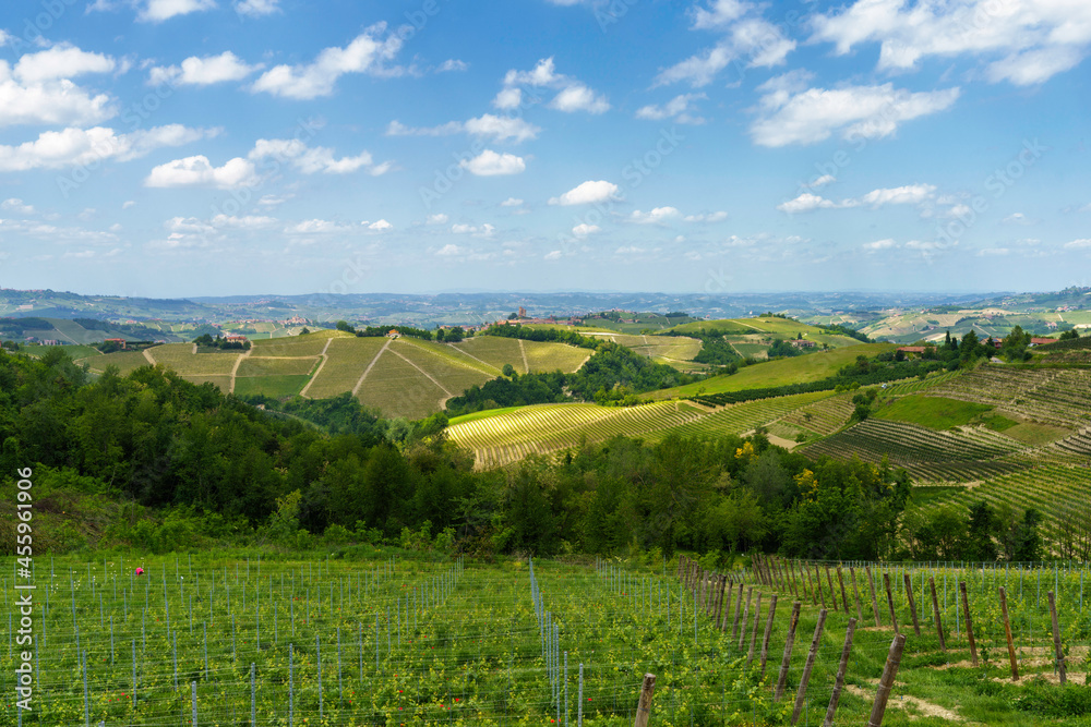 Landscape of Langhe, Piedmont, Italy near Dogliani at May