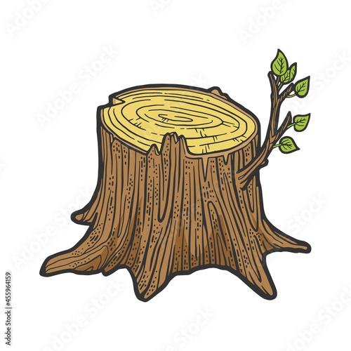 Tree stump with sprout color sketch engraving vector illustration. T-shirt apparel print design. Scratch board imitation. Black and white hand drawn image.