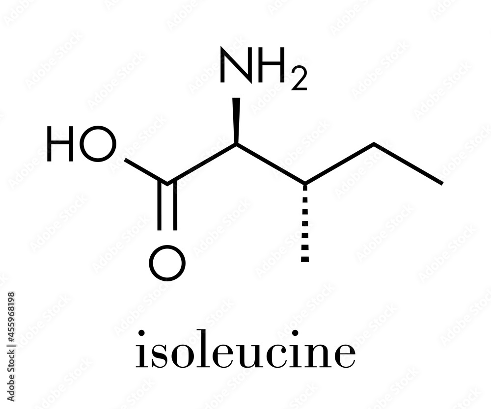 Isoleucine (Lisoleucine, Ile, I) amino acid molecule. Skeletal formula