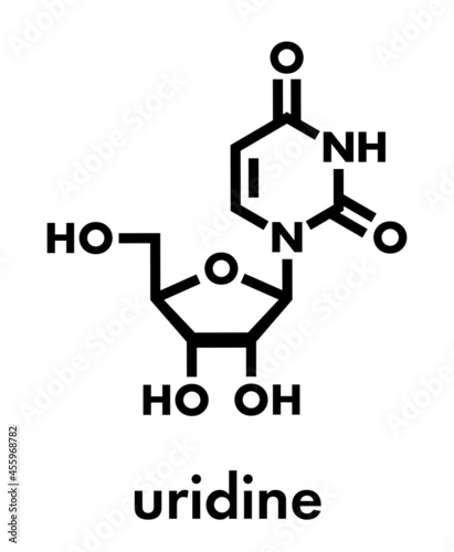 Uridine nucleoside molecule. Building block of RNA. Skeletal formula.