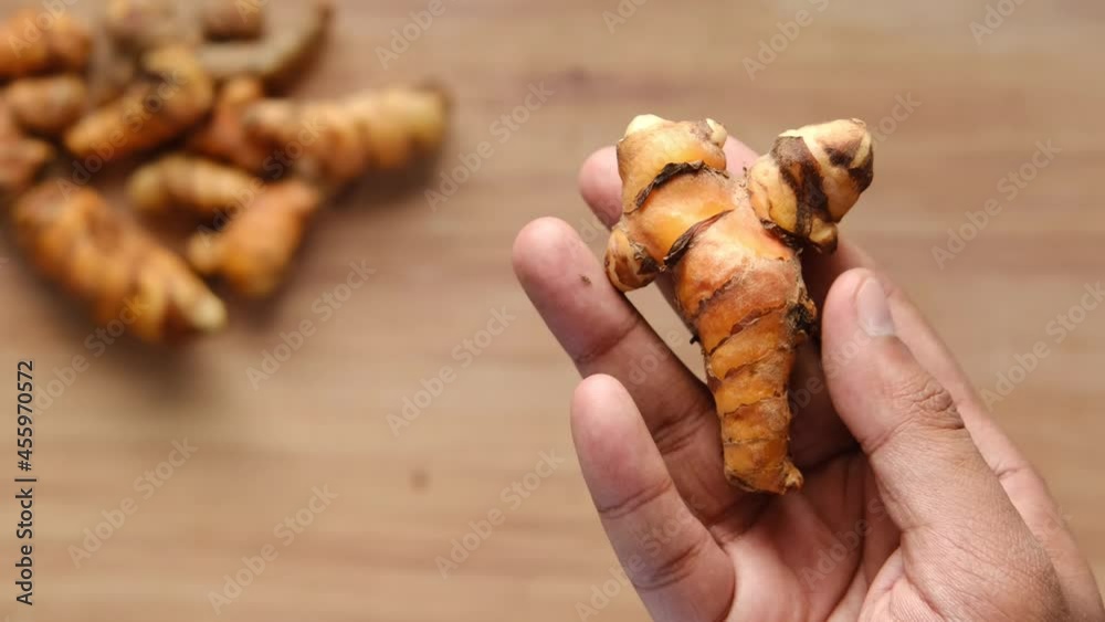 hand holding turmeric root close up hand holding turmeric root close up