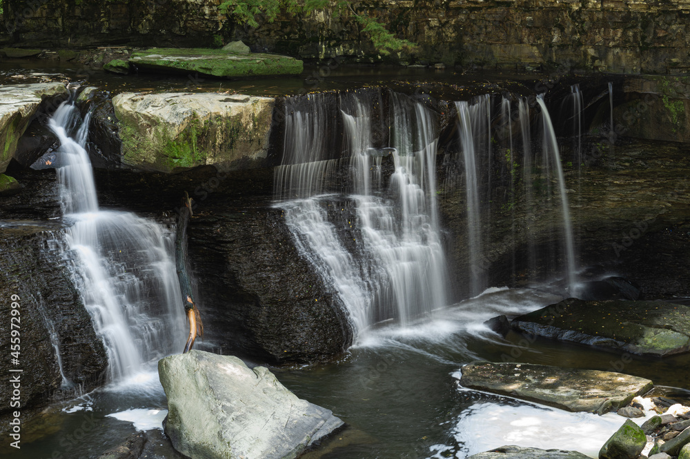Naklejka premium waterfall in the forest