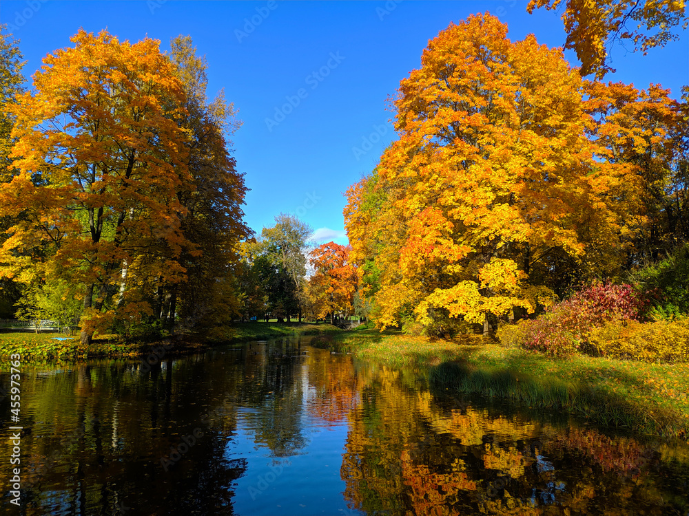 autumn trees on the river