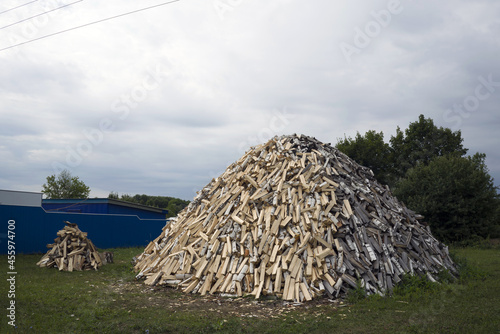 a big heap of birch firewood on the grass. Preparation for the winter