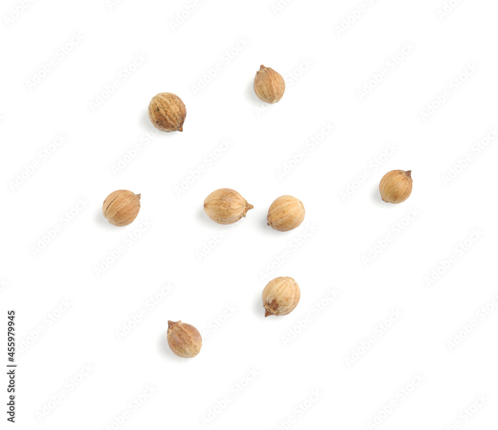 Scattered dried coriander seeds on white background, top view Scattered dried coriander seeds on white background, top view