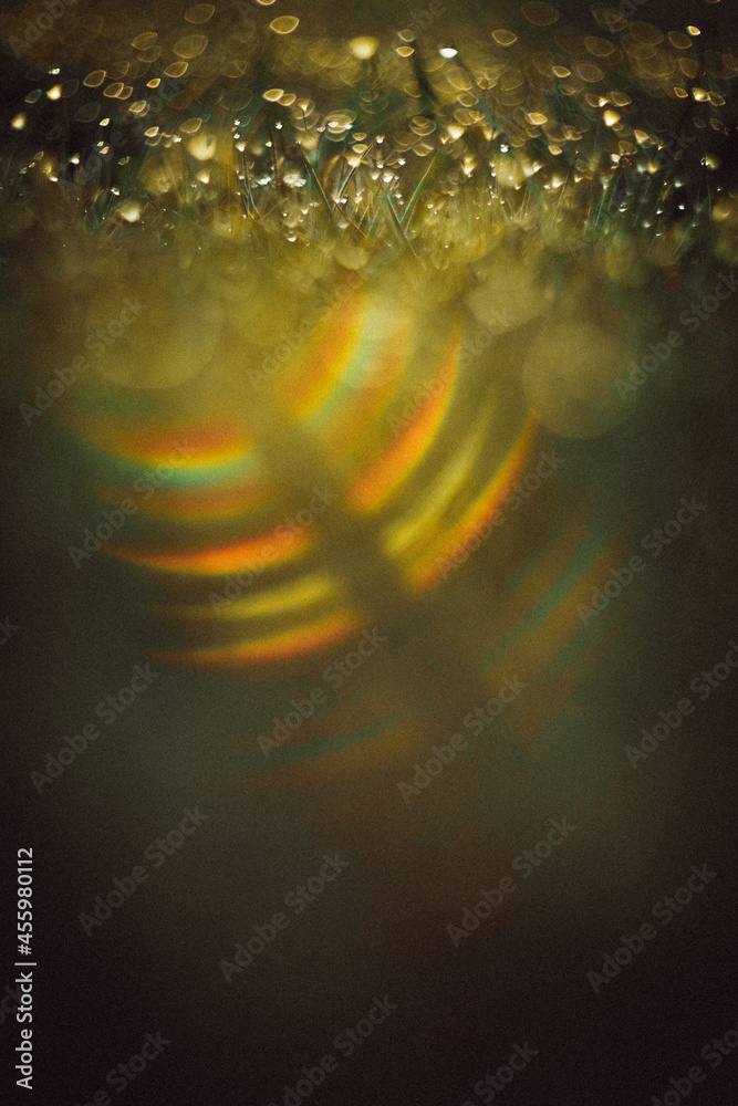 morning jewels natrra