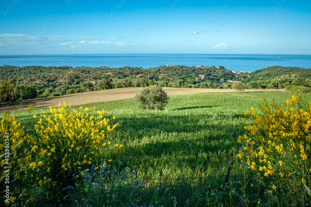 Torretta di Crucoli, district of Crotone, Calabria, Italy, Europe, view of the Ionian coast with the countryside of the territory in the foreground