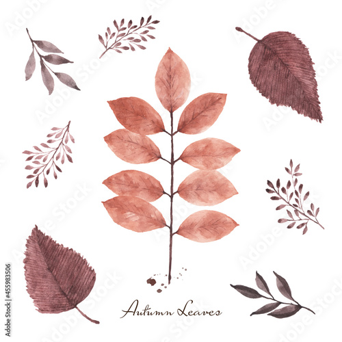 Set of brown leaves autumn watercolor