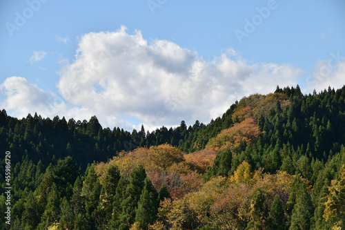 Autumn colourful forest. Mt.Taihaku san. Another name is “Sendai fuji” and “Natori fuji”.
