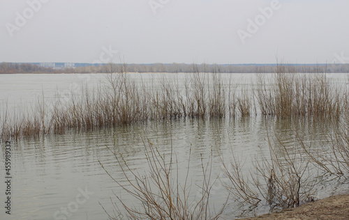 Flooding of the river and flooding of the bank with bushes, flooding