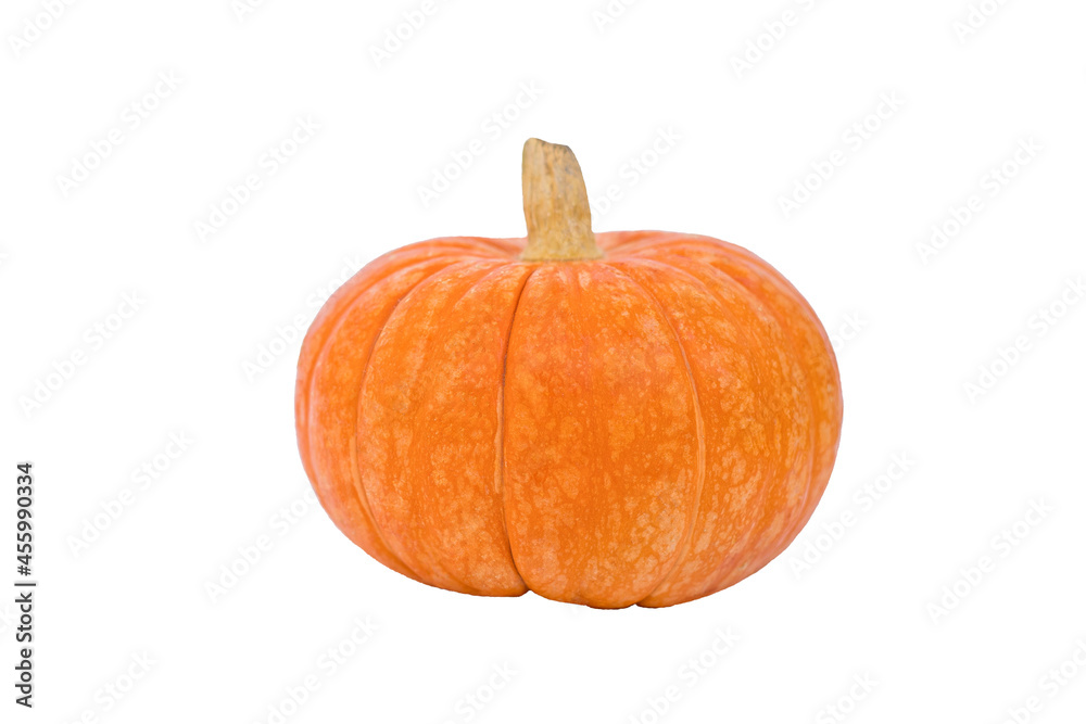 Pumpkin isolated on white background Pumpkin isolated on white background
