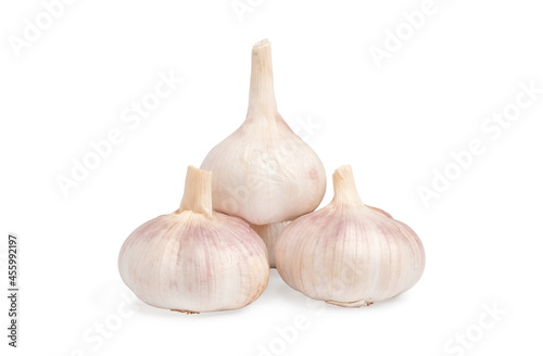 Fresh garlic bulb isolated on white background