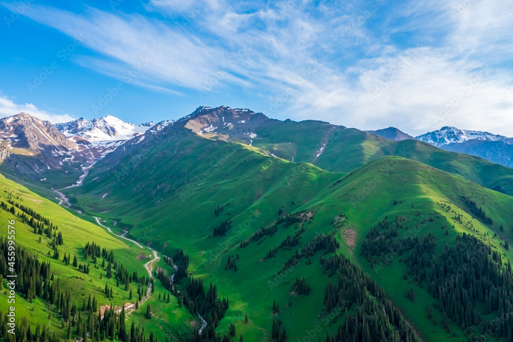Obraz premium Green grassland and mountain with forest natural landscape in Nalati grassland,Xinjiang,China.Aerial view.Nalati Grassland is China's sky grassland.