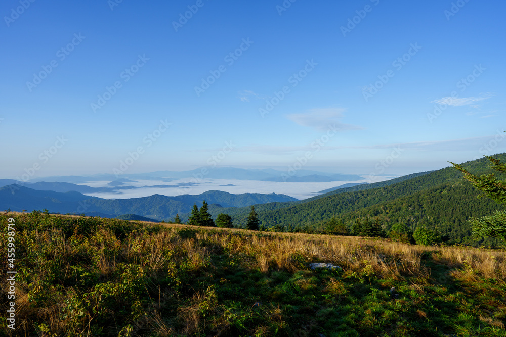 Fototapeta premium roan highlands, western north carolina