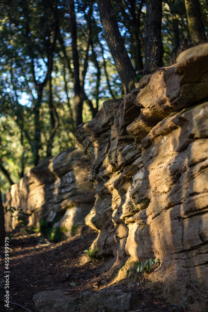 pared de rocas redondeadas con luz atardecer y sombras de ramas