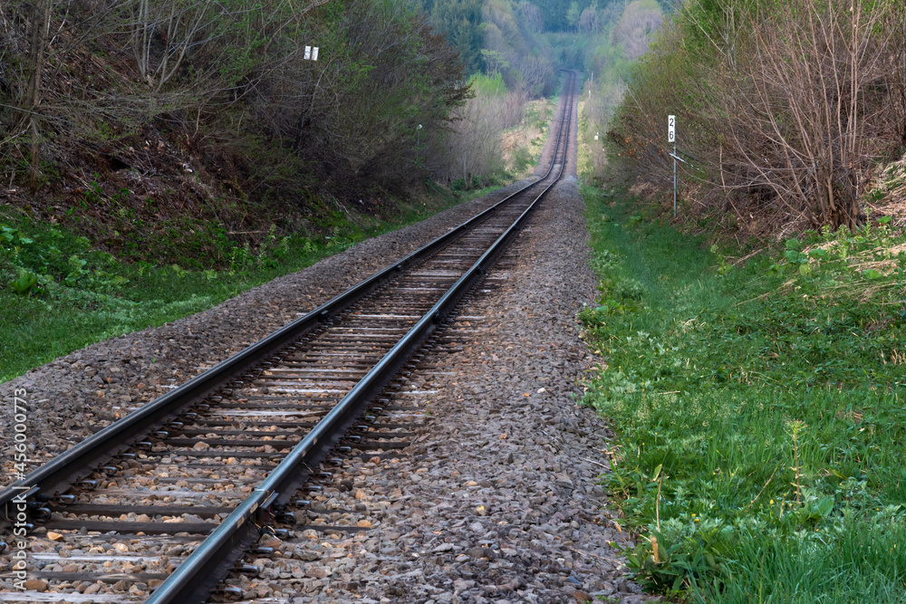 Fototapeta premium まっすぐに伸びるローカル線の線路