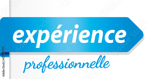 PICTO EXPERIENCE PROFESSIONNELLE
