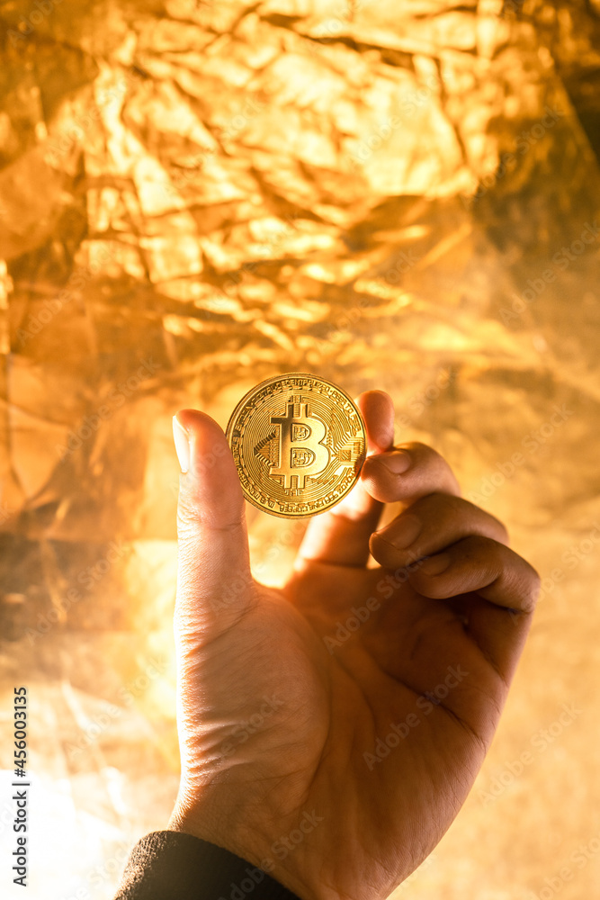 Bitcoin coins in hand in front of the computer Bitcoin coins in hand in front of the computer