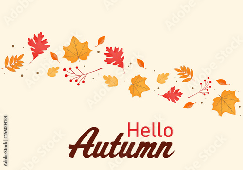 Simple autumnal background with fall leaves