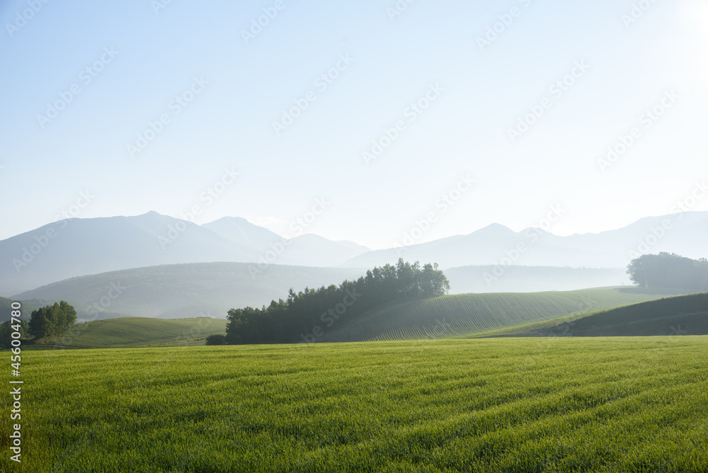 Obraz premium 早朝の美瑛の丘 北海道美瑛町の観光イメージ