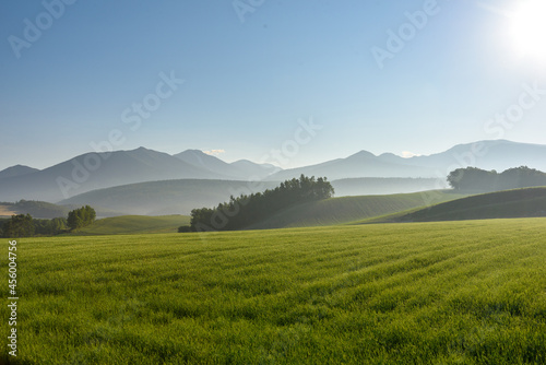 早朝の朝霧につつまれる美瑛の丘の風景  北海道美瑛町の観光イメージ © tkyszk